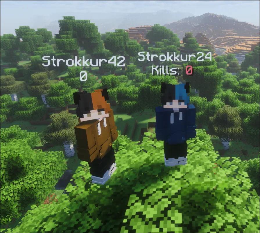 A preview of the below name display slot if a player has no score