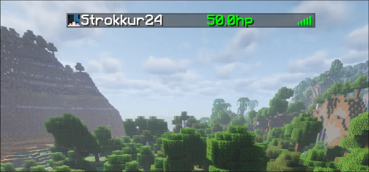 A preview of the player list display slot with 100 score